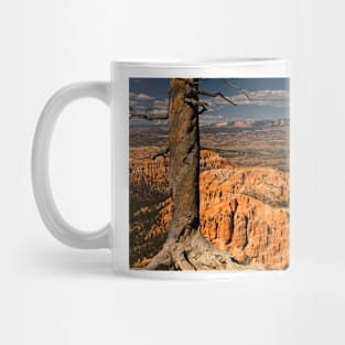 Trees Of Bryce - 2 © Mug